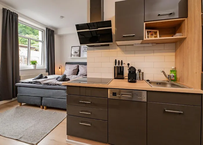 Sweethome - Apartments, Super Zentral, Parkplatz * 아이제나흐